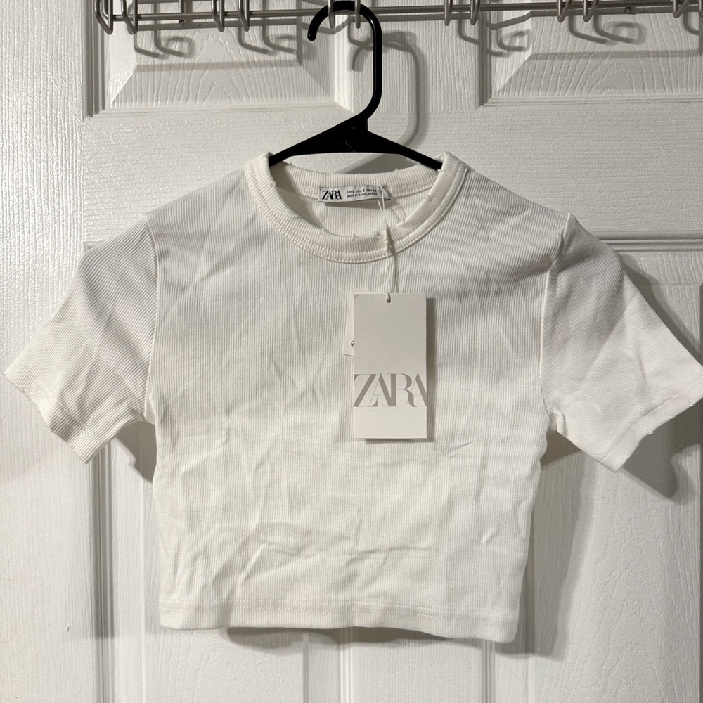 Zara Distressed Crop Top